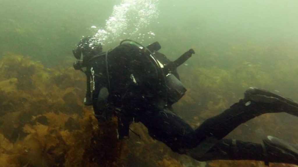 Image Source @CANVA 1 3 5