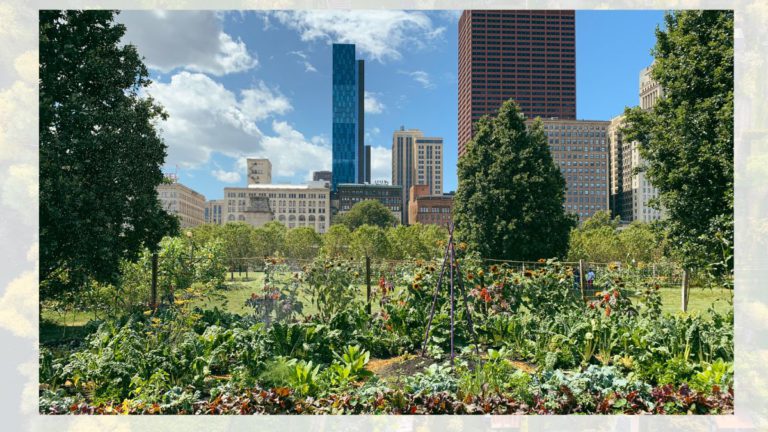 Our cities’ secret gardens: we connect with nature in neglected green spaces just as much as in parks