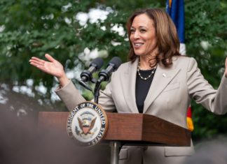 Biden out, Harris in? Why this risky, unprecedented move could be the circuit breaker the Democrats needed