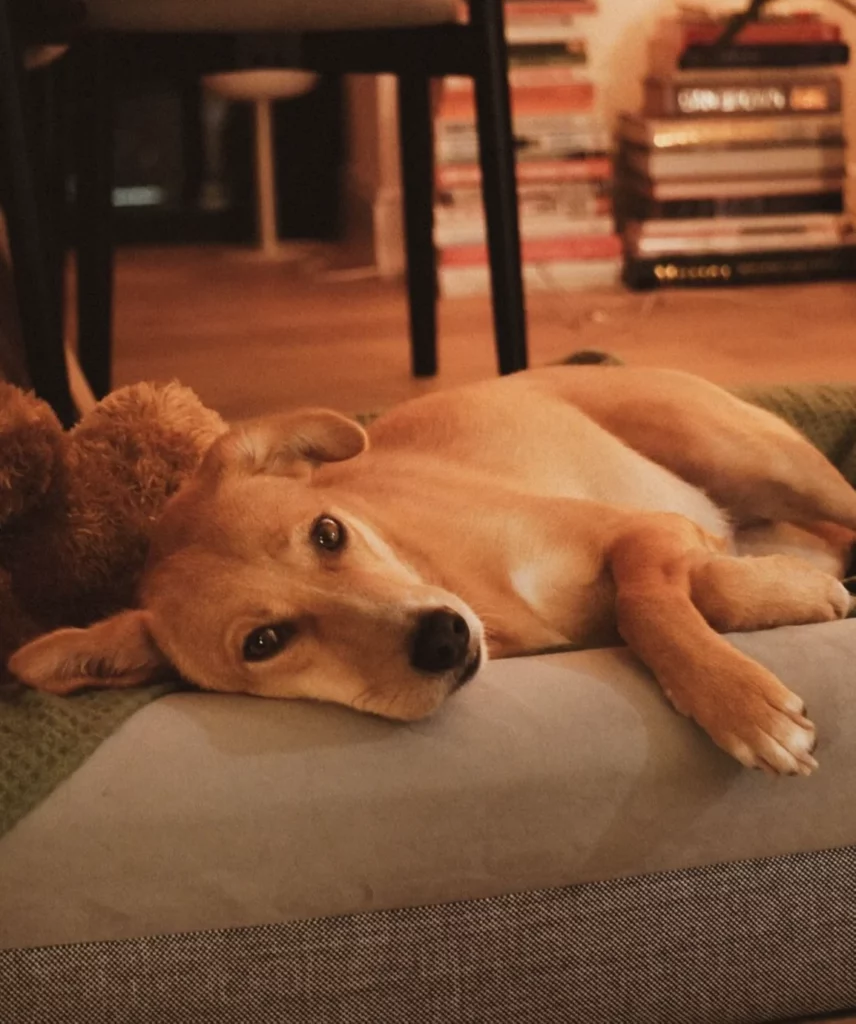 image png Jul 24 2024 12 01 57 2494 AM 1