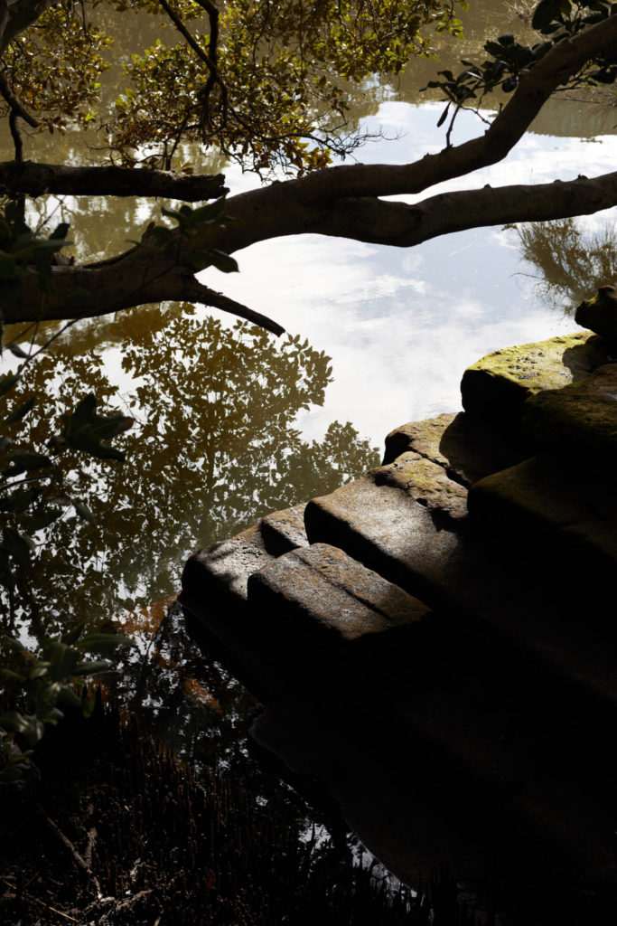 03 The River Image by Conor OBrien 9