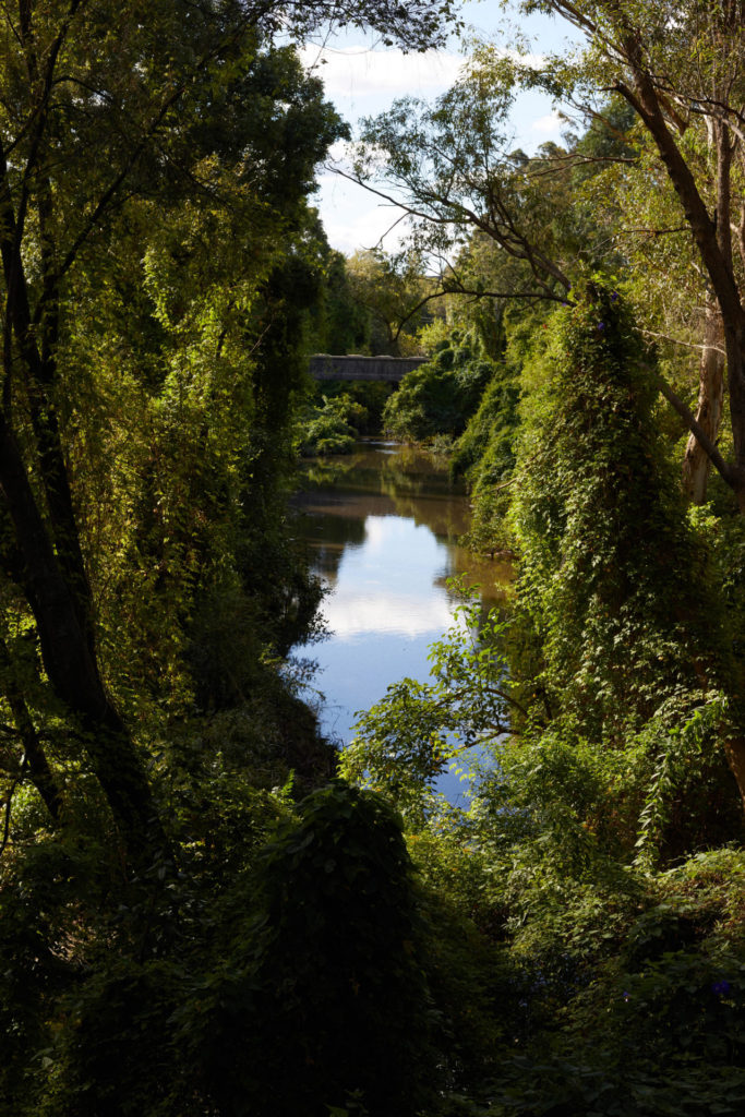 04 The River Image by Conor OBrien 4