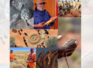 Indigenous science can help solve some of the great problems of our time. Here’s how