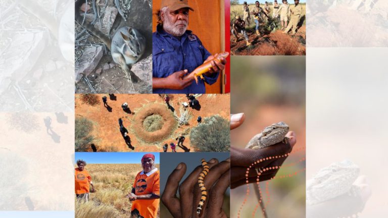 Indigenous science can help solve some of the great problems of our time. Here’s how