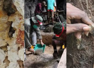 New evidence from West Papua offers fresh clues about how and when humans first moved into the Pacific