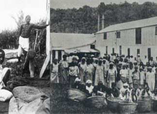 Fiji to digitise Girmit, Indian indentured labourers, records for future generations