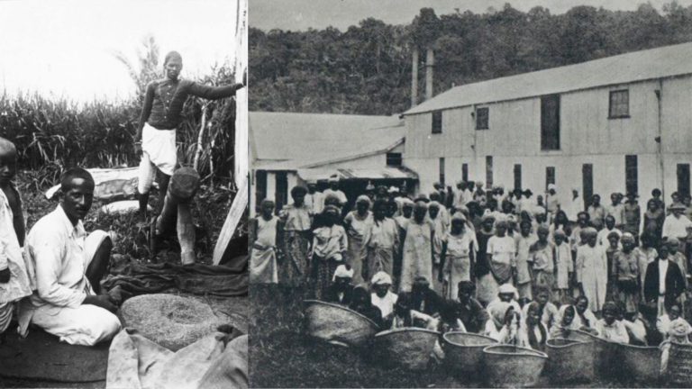 Fiji to digitise Girmit, Indian indentured labourers, records for future generations
