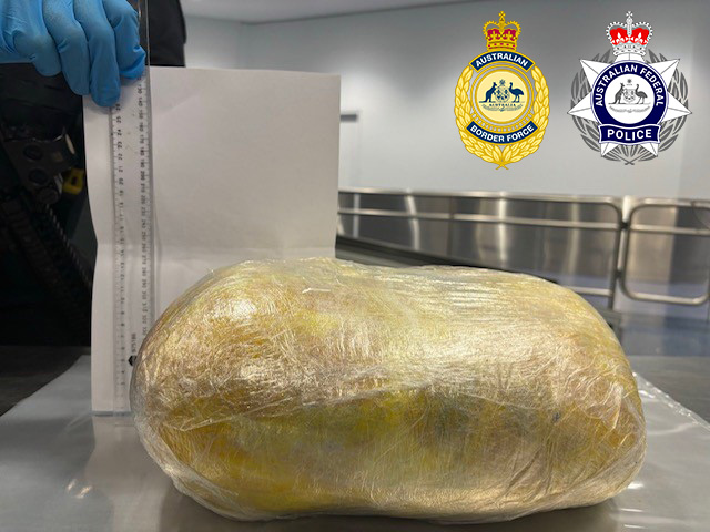 Export 1 Bladder 1 2