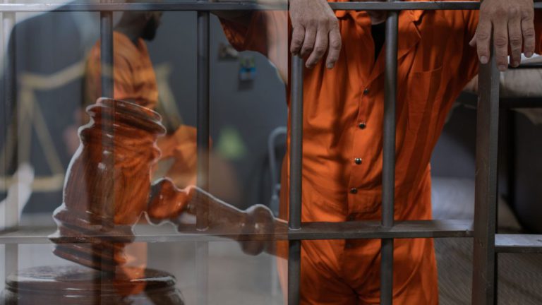 Islamic State member gets eight years jail for attempted bushfire terror attacks in Victoria