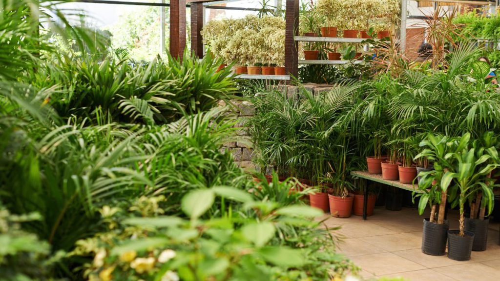 Australia is hosting the world’s first ‘nature positive’ summit. What is it, and why does it matter? 3 Copy of Untitled 1200 x 675 px 1 6 2