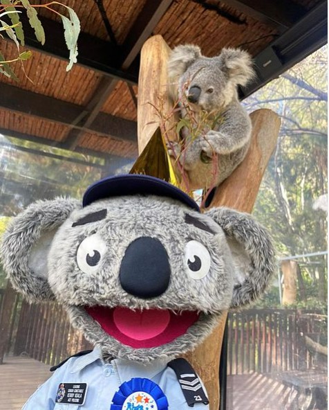 Screenshot 2024 10 16 090549 3