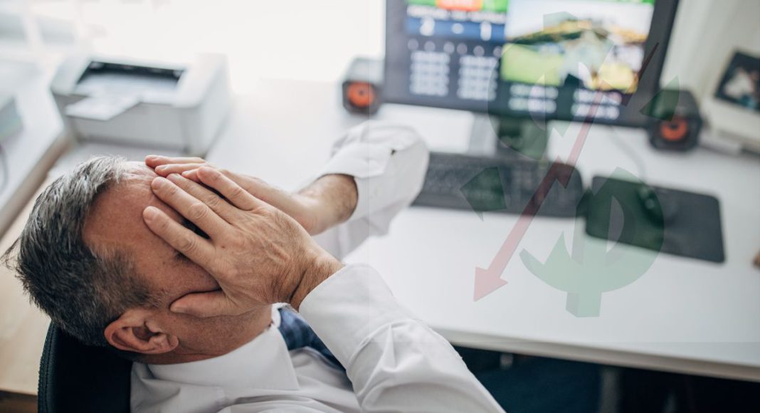 Image Source: CANVA Image Source: CANVA