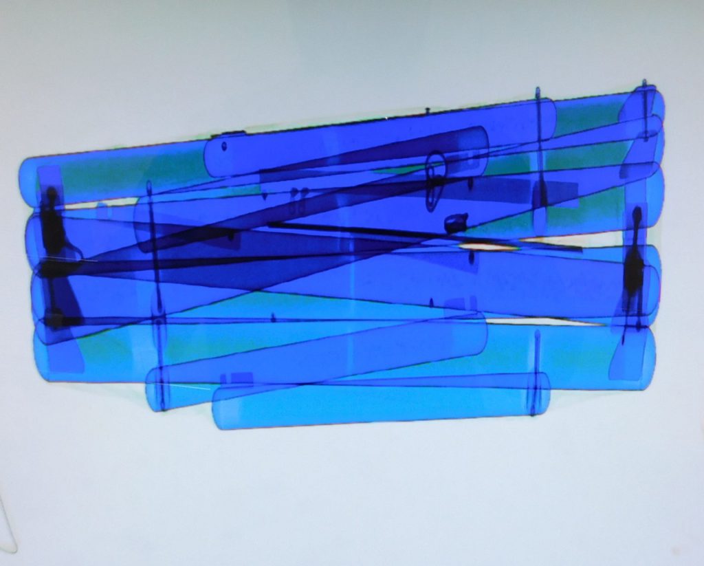 X ray image of hammock poles 5