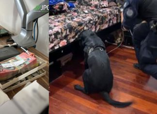 Pakistan national charged with defrauding 100 Australians in $1 million mobile scam