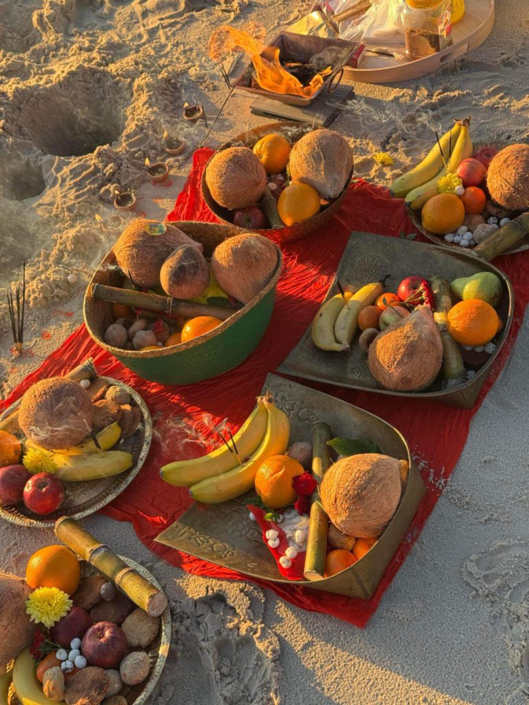 WhatsApp Image 2024 11 08 at 17.01.41 22