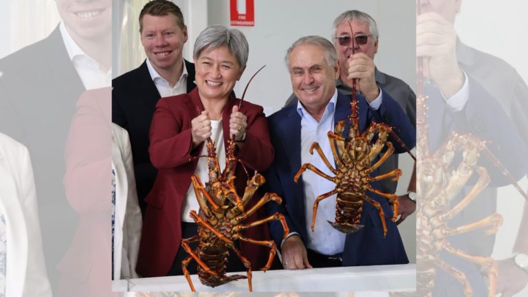 China lifts live lobster trade ban, boosting Australian exporters