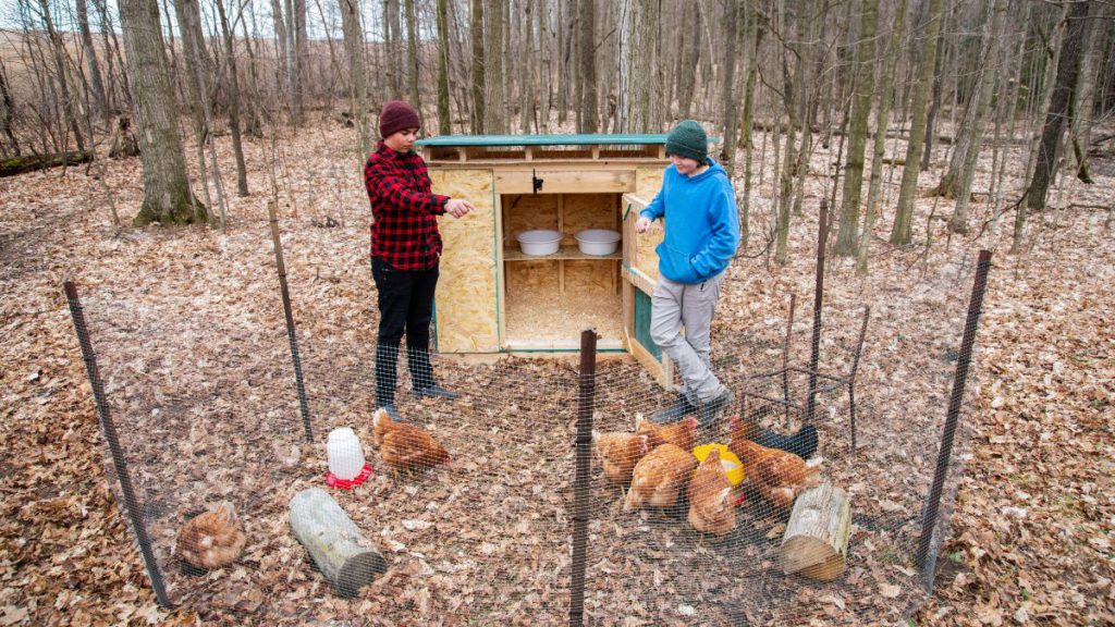 Copy of Untitled 1200 x 675 px 1 5 2