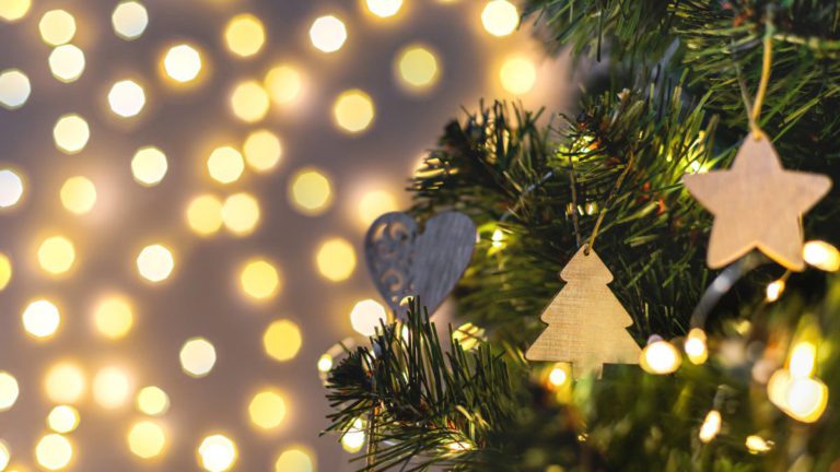 Decorating your Christmas tree? Try these crafts inspired by Aussie plants and animals