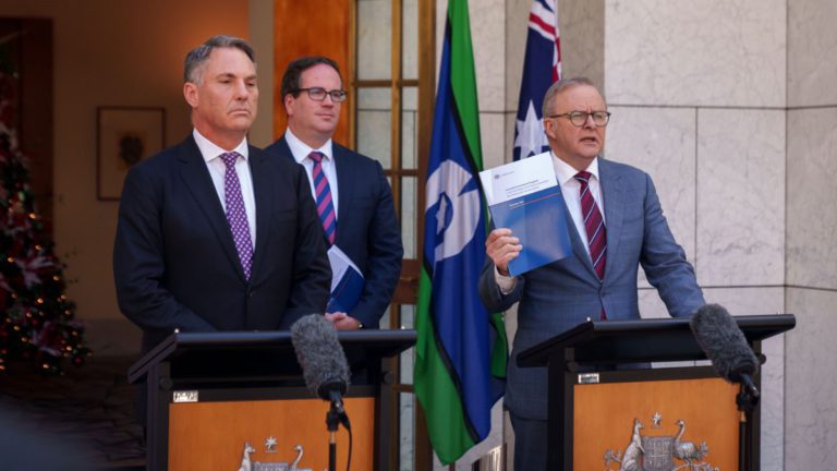 Labor and Albanese end 2024 in worst poll position this term