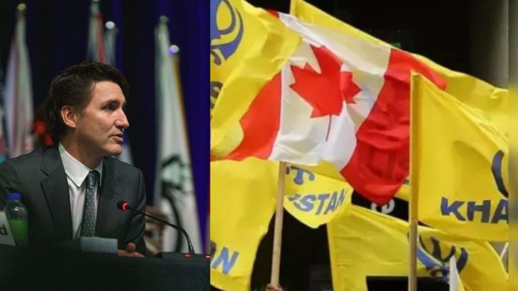 Copy of Untitled 1200 x 675 px 6 1 1