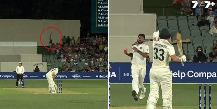 Screenshot 2024 12 07 121257 1