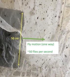 Screenshot 2024 12 11 093341 4