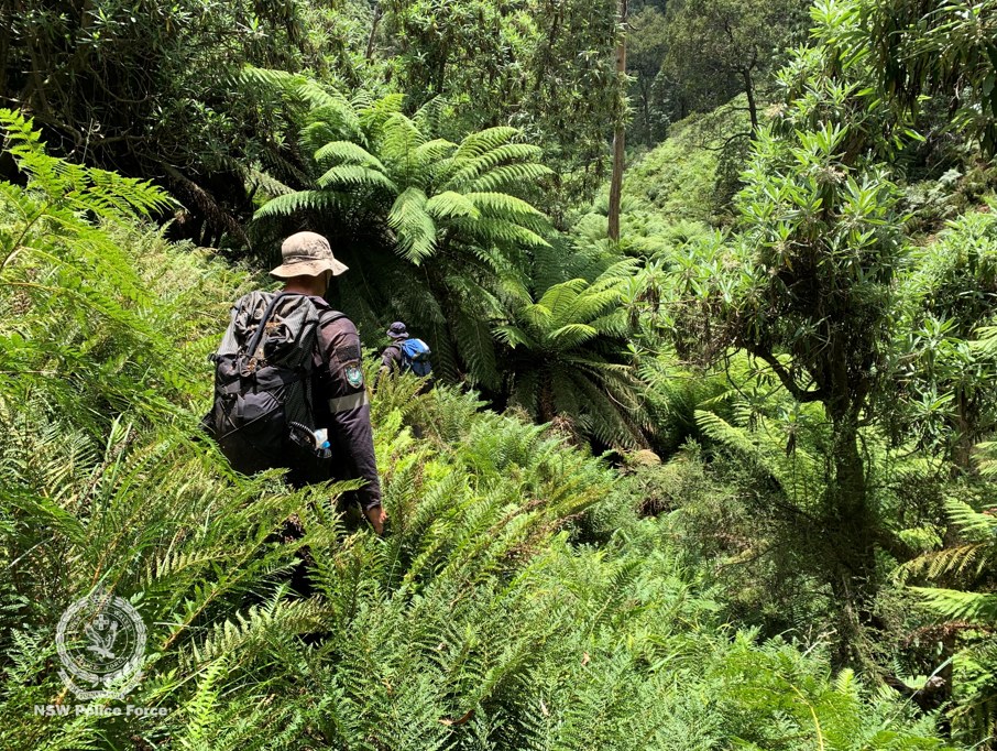 472193250 1017874520384967 7628118862615208995 n 17