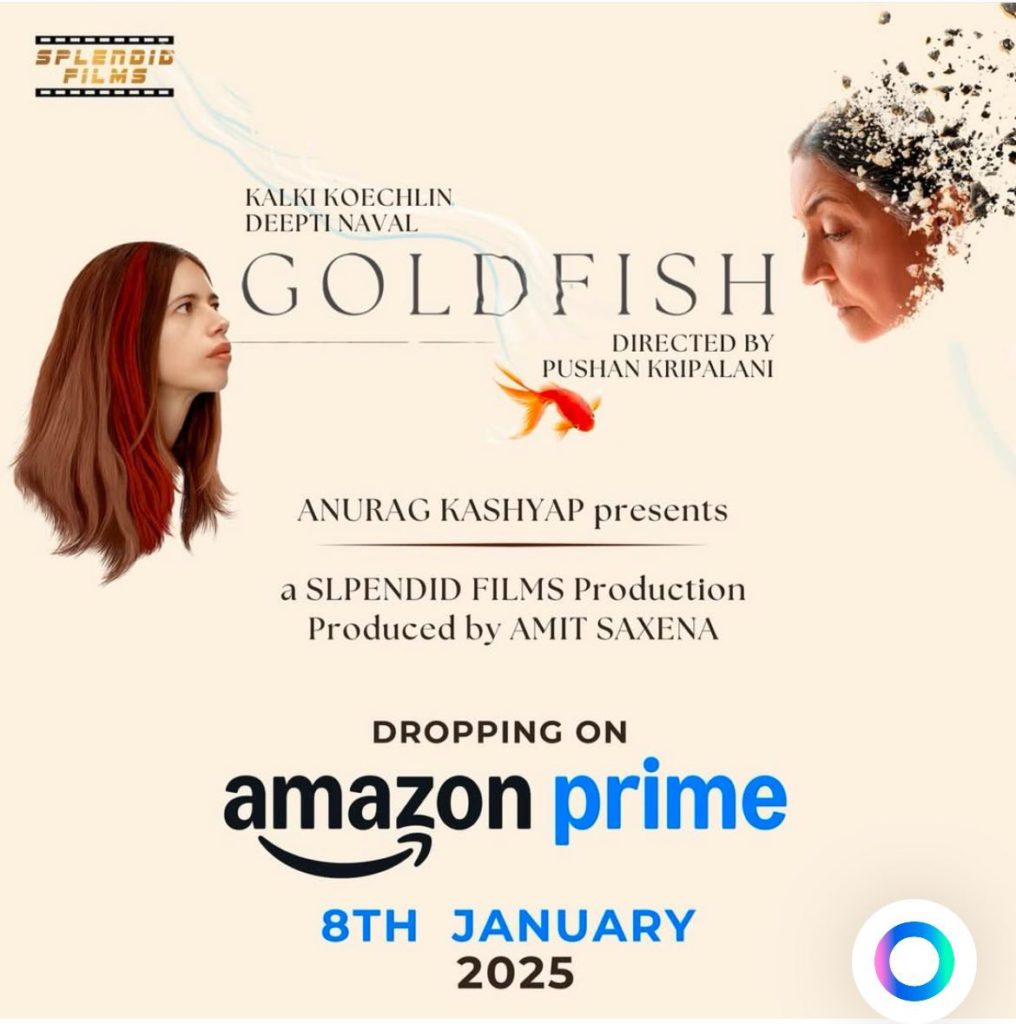 472526184 1169774314504429 8784714183102793 n 2