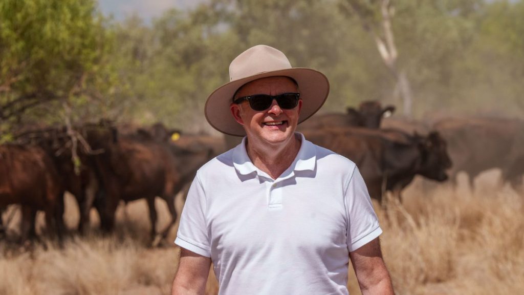 Albanese promises $3 billion to finish NBN rollout ahead of election showdown 3 Copy of Untitled 1200 x 675 px 2 12 3