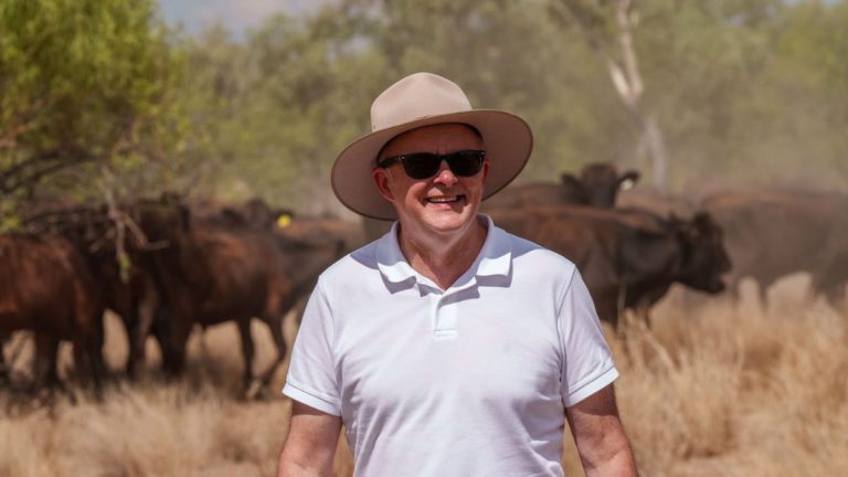 Albanese promises $3 billion to finish NBN rollout ahead of election showdown