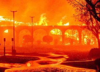 LA is on fire. How will Australia cope when bushfires hit Sydney, Melbourne or another major city?