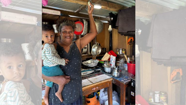 India’s solar mission lights up homes in Fiji, empowering women for a sustainable future