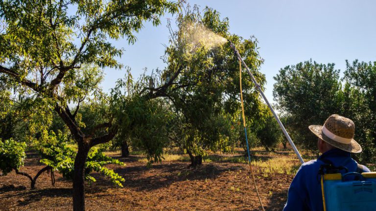 To keep your cool in a heatwave, it may help to water your trees