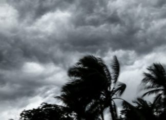 How to prepare for a cyclone, according to an expert
