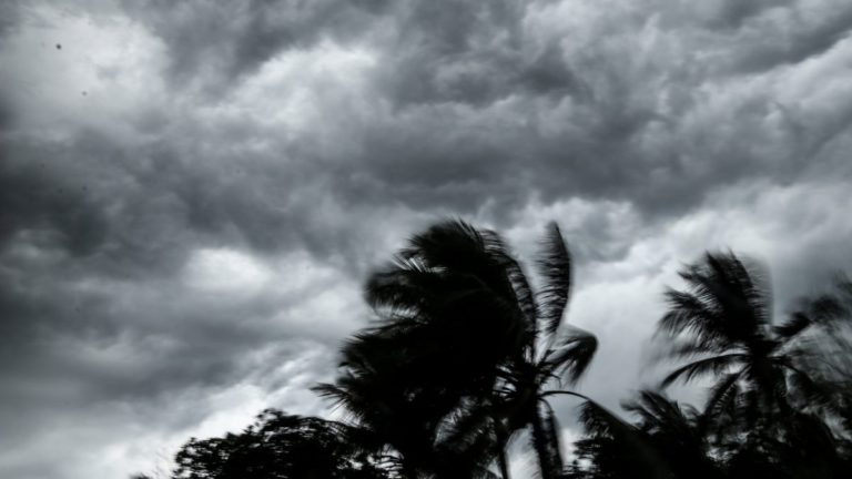 How to prepare for a cyclone, according to an expert
