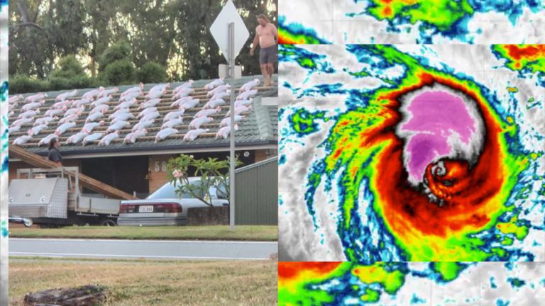 Cyclone Alfred Brings Destructive Winds and Torrential Rain to South-East Queensland