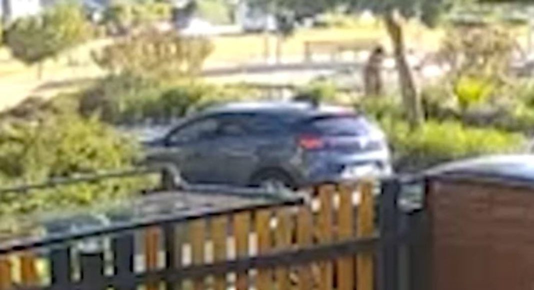 Hit-run at point cook: Image Source: Victoria Police