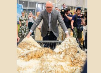 Dutton accuses Albanese of abandoning regional Australia, vows $20 million for agricultural shows