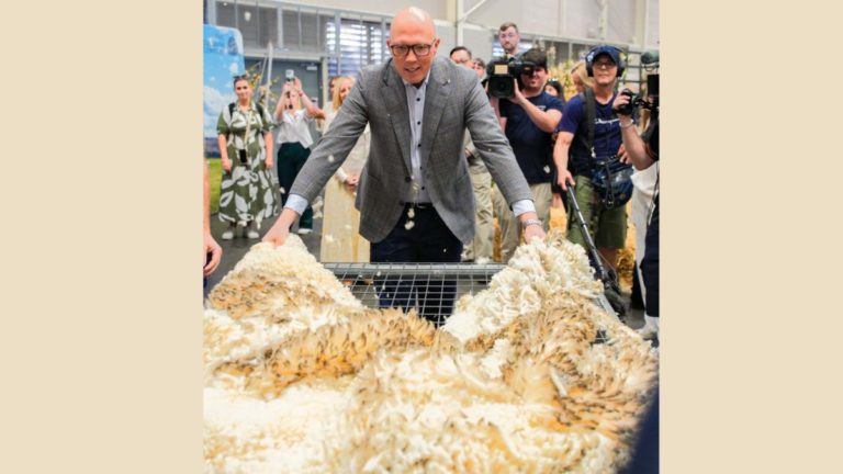 Dutton accuses Albanese of abandoning regional Australia, vows $20 million for agricultural shows