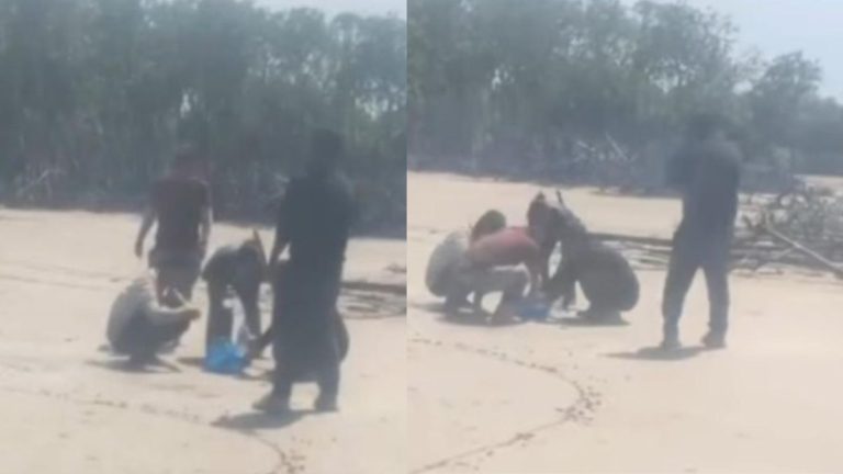 Helicopter pilot discovers five men on NT beach, prompting Border Force response