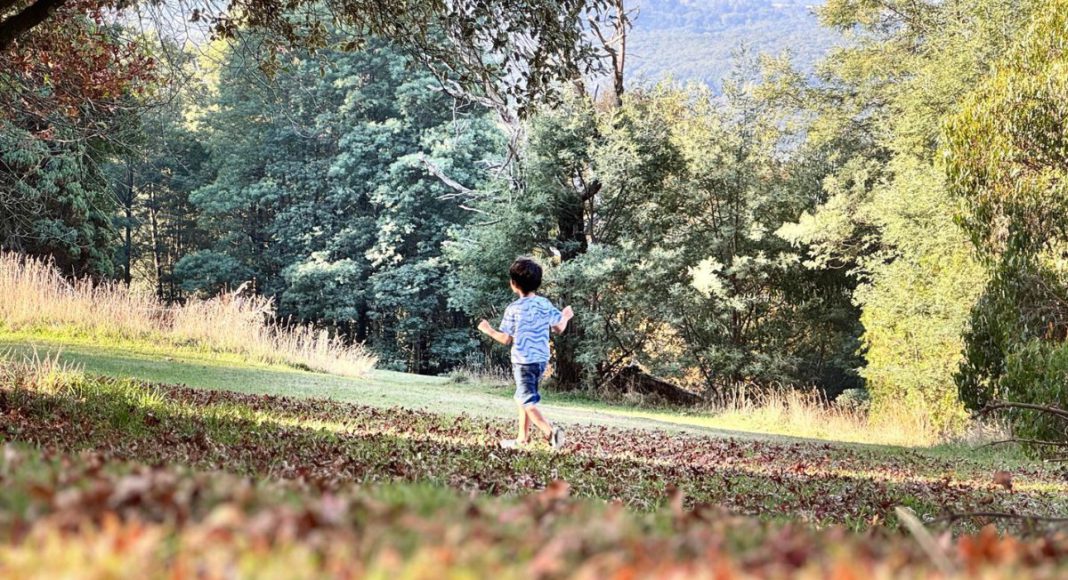 Image: Six-year-old Parsa who went missing in Dandenong Ranges (Source: Facebook - Sahar Abedi)