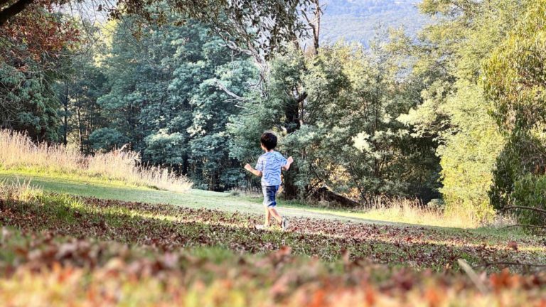 Mother’s heartfelt thanks after six-year-old son found safe following 16 hours lost in Dandenong Ranges