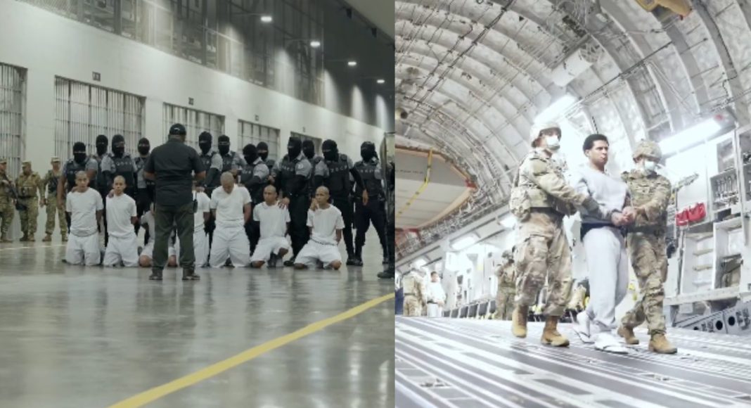 Criminals deported by USA; Image Source; Screenshot of a video on social media X