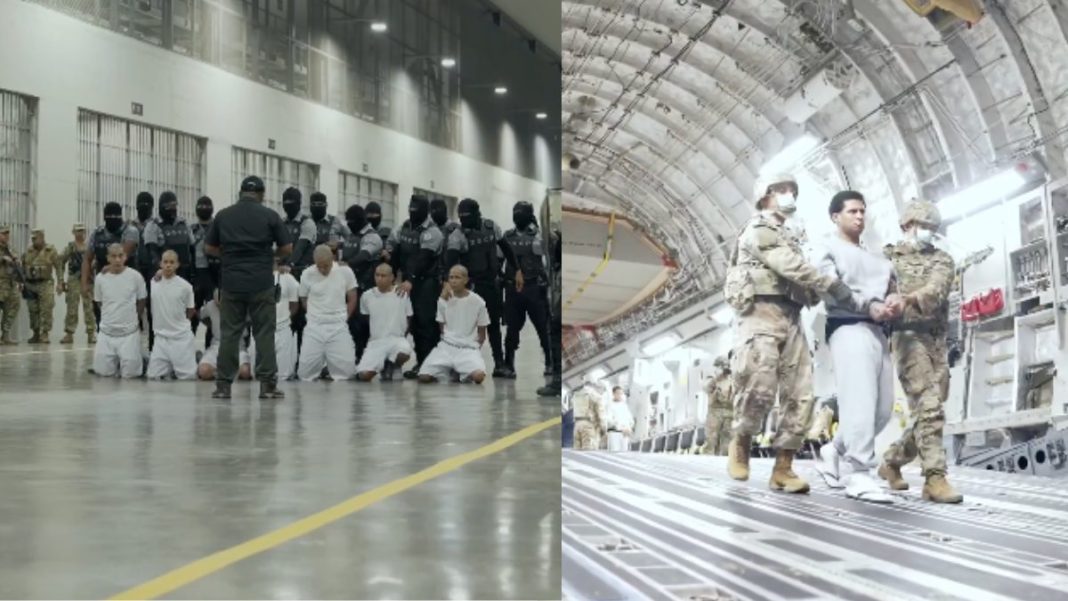 Criminals deported by USA; Image Source; Screenshot of a video on social media X