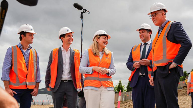Labor and Coalition support for new home buyers welcome but other Australians also struggling with housing affordability