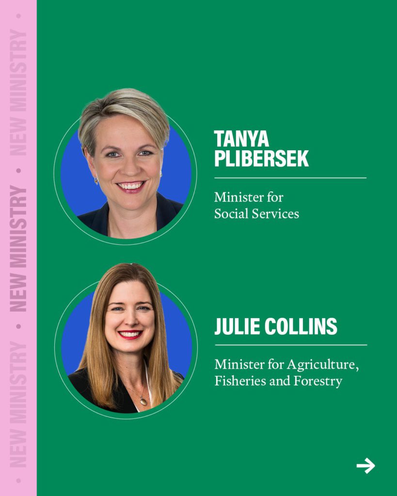 495579164 1279247486893418 3625412706706356392 n 5