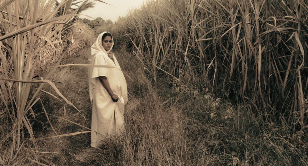 500136236 1094678382529102 5163394261779925121 n 3