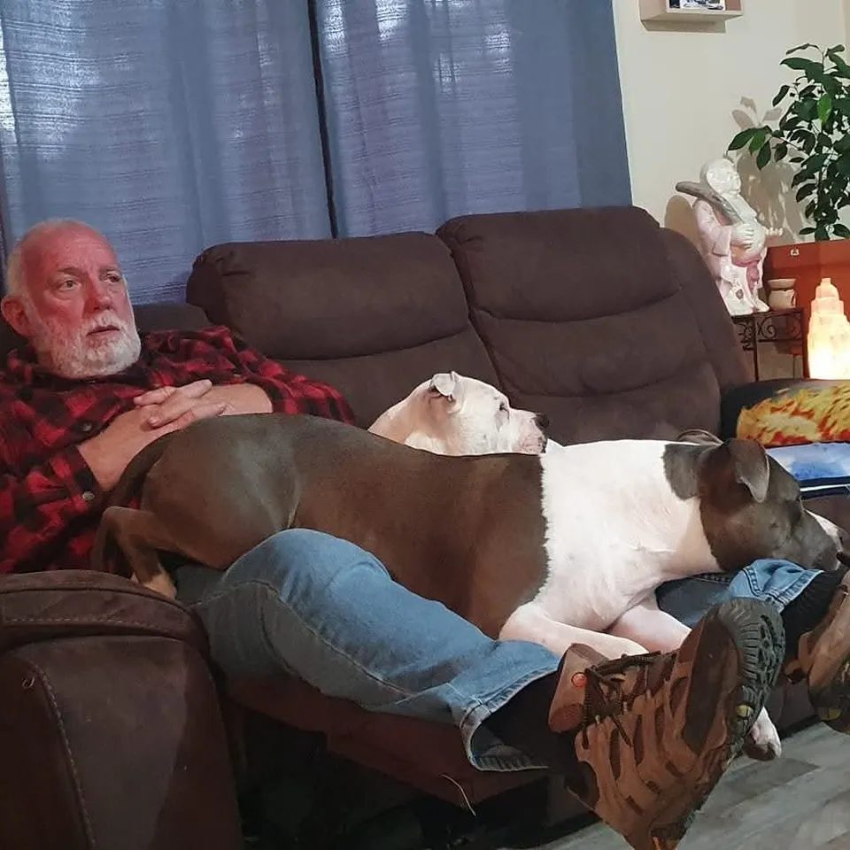 91171471 1747595843668557 r 1