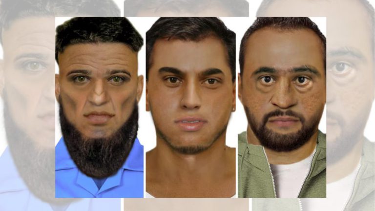 Prized Merino sheep stolen in brazen daylight robbery during farmer protest