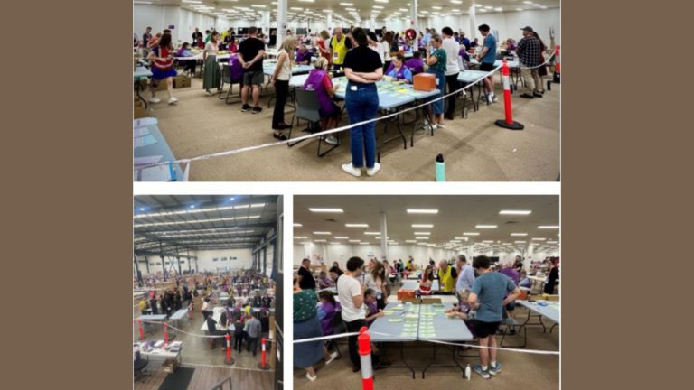 Australia’s most complex election count marches on ahead of schedule